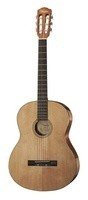Гитара классическая Fender ESC-105 (096-0123-321) 