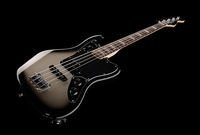 Бас-гитара Fender Troy Sanders Jaguar Bass RW SLB (014-3110-391)
