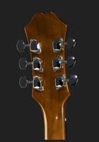 Акустическая гитара EPIPHONE DR-100 NT (EA10NACH1)