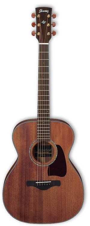 Акустическая гитара IBANEZ (AC2040 OPN)