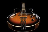 Полуакустическая гитара IBANEZ (AF75 BS)