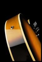 Полуакустическая гитара IBANEZ (AF75 BS)