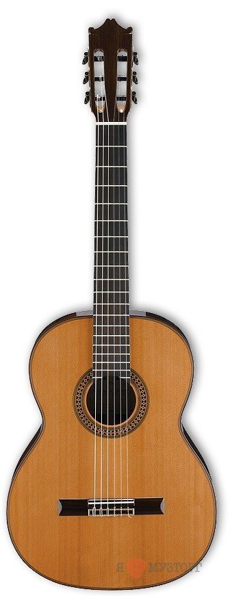 Классическая гитара IBANEZ (G500 NT)