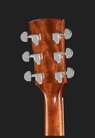 Акустическая гитара IBANEZ (PF17 LG)