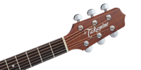 Электроакустическая гитара TAKAMINE EF261 SMALL BODY (EF261S AN)