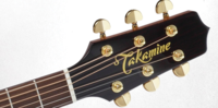 Электроакустическая гитара TAKAMINE (P5J)