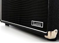 Кабинет для бас-гитары AMPEG SVT-810E (26759)