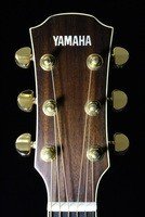 Акустическая гитара Yamaha LJ16
