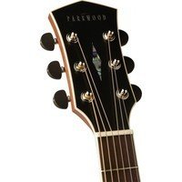 Акустическая гитара Parkwood PW310M NS