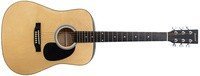 Акустическая гитара Savannah SG-610 N
