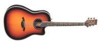 Электро-акустическая гитара Parksons EA105 3TS