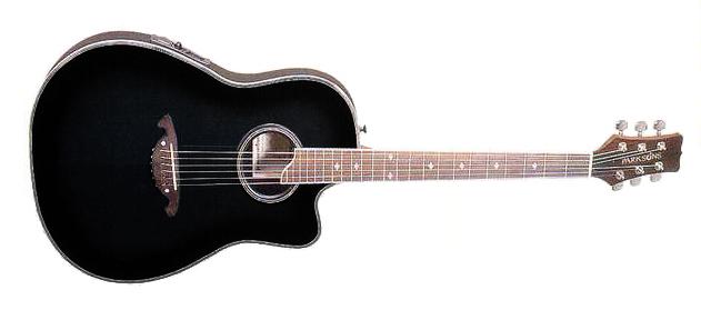 Электро-акустическая гитара Parksons EA205 BKS